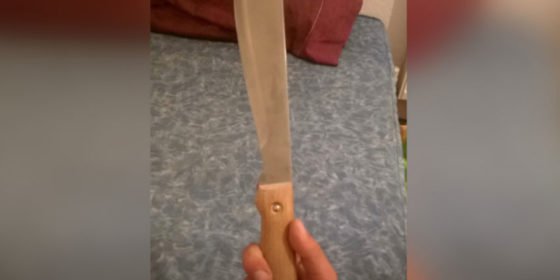 teen threatens to kill gay people with machete at Pride event