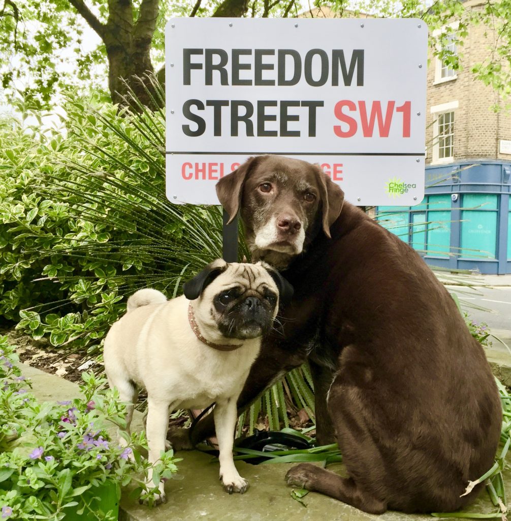 'Me and my pal on the street we should all be walking down for equality' | Photo: Pets as Therapy