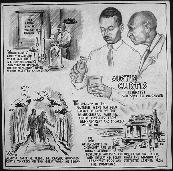 A cartoon, by C.H. Alston, depicting Curtis as 'paternal' Carver's successor