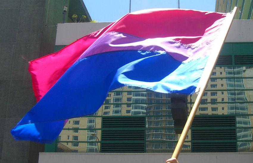 Bisexual flag
