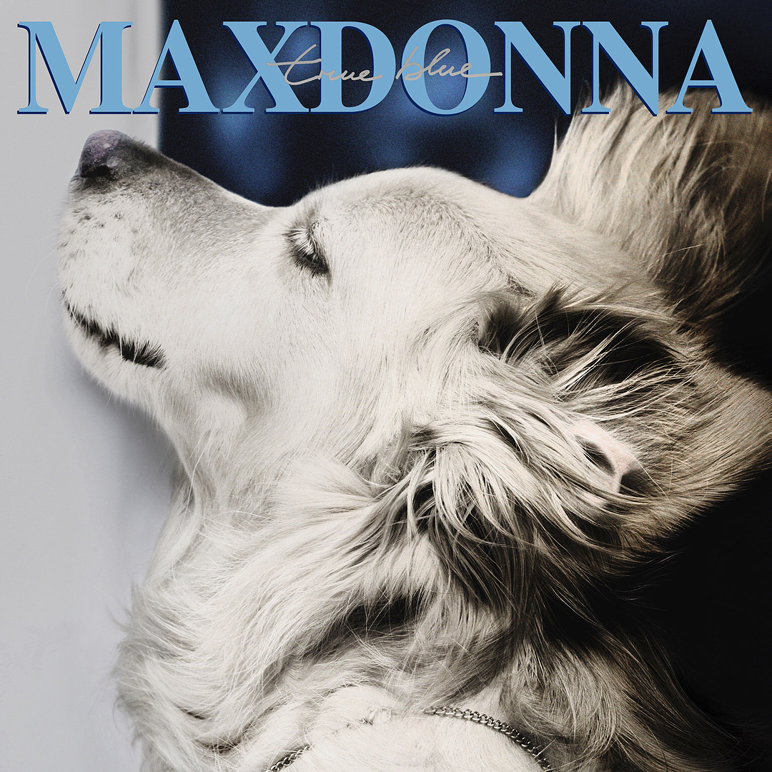 Max as Madonna