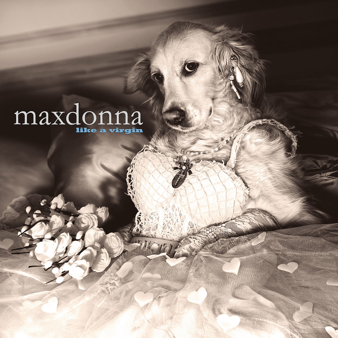 Max as Madonna