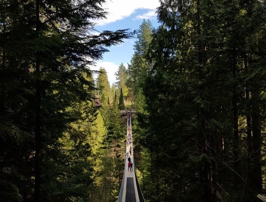 Capilano Suspension Bridge | Photo: Jamie Wareham / Gay Star News 