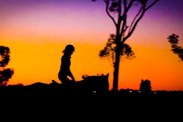 A silhouette of a rider on horseback at sunset.